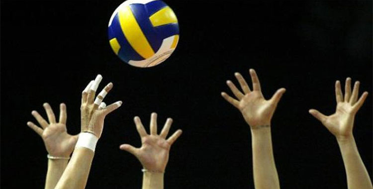 Pallavolo