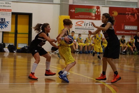 Esordienti Bassano 2015 22